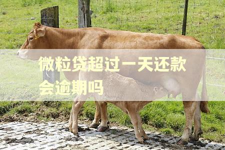 微粒贷超过一天还款会逾期吗
