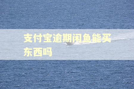 支付宝逾期闲鱼能买东西吗