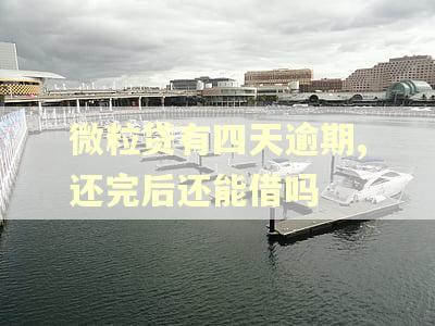 微粒贷有四天逾期,还完后还能借吗