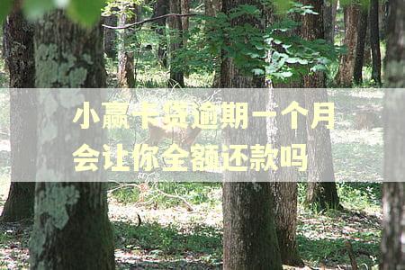 小赢卡贷逾期一个月会让你全额还款吗