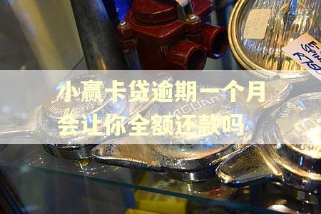小赢卡贷逾期一个月会让你全额还款吗