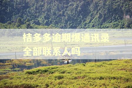 桔多多逾期爆通讯录全部联系人吗