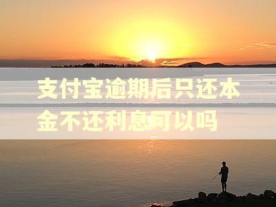 支付宝逾期后只还本金不还利息可以吗