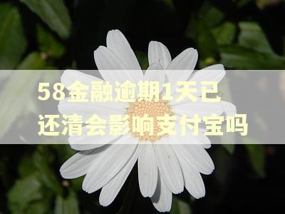 58金融逾期1天已还清会影响支付宝吗
