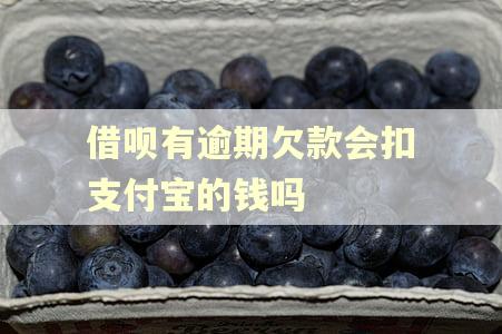 借呗有逾期欠款会扣支付宝的钱吗