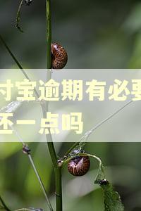 支付宝逾期有必要每月还一点吗 支付宝逾期有必要每月还一点吗