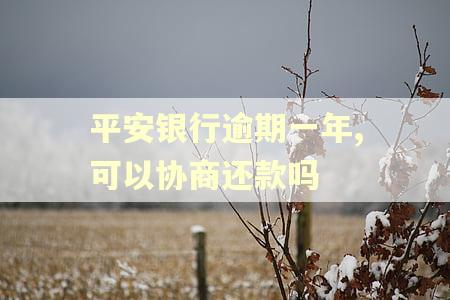 平安银行逾期一年,可以协商还款吗