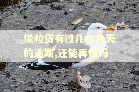 微粒贷有过几次几天的逾期,还能再借吗