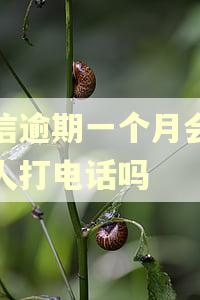 捷信逾期一个月会给家人打电话吗 捷信逾期一个月会给家人打电话吗