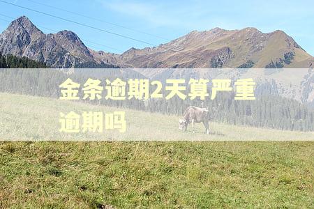 金条逾期2天算严重逾期吗