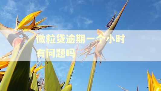 微粒贷逾期一个小时有问题吗
