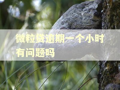 微粒贷逾期一个小时有问题吗