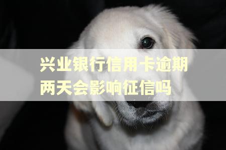 兴业银行信用卡逾期两天会影响征信吗