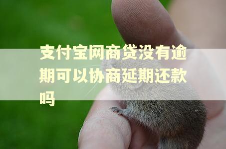 支付宝网商贷没有逾期可以协商延期还款吗