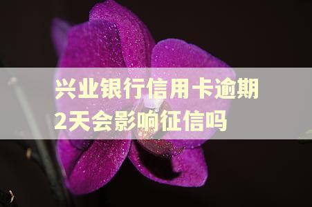 兴业银行信用卡逾期2天会影响征信吗 兴业银行信用卡逾期2天会影响征信吗