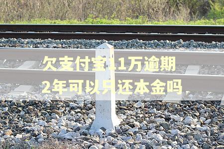 欠支付宝11万逾期2年可以只还本金吗