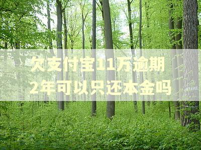 欠支付宝11万逾期2年可以只还本金吗