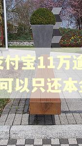 欠支付宝11万逾期2年可以只还本金吗 欠支付宝11万逾期2年可以只还本金吗