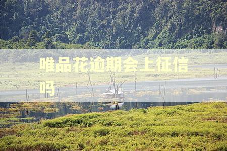 唯品花逾期会上征信吗
