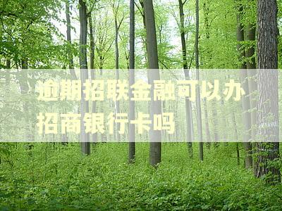 逾期招联金融可以办招商银行卡吗