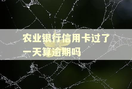 农业银行信用卡过了一天算逾期吗