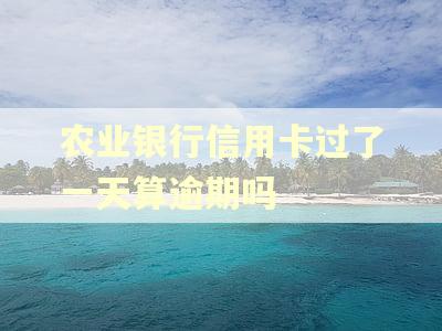农业银行信用卡过了一天算逾期吗