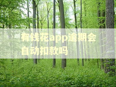 有钱花app逾期会自动扣款吗