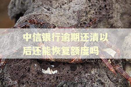 中信银行逾期还清以后还能恢复额度吗
