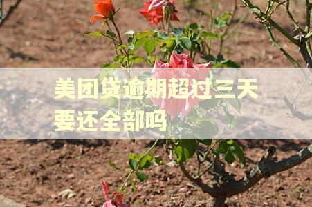 美团贷逾期超过三天要还全部吗