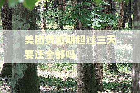 美团贷逾期超过三天要还全部吗