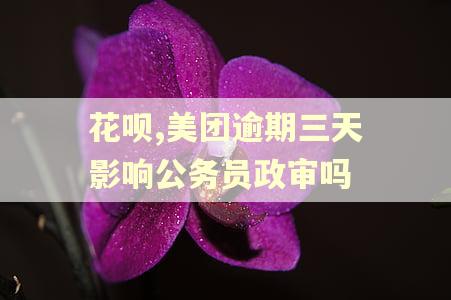 花呗,美团逾期三天影响公务员政审吗
