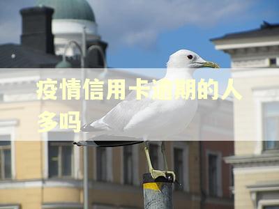 疫情信用卡逾期的人多吗