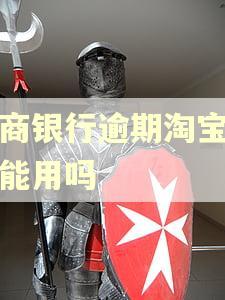 网商银行逾期淘宝店还能用吗 网商银行逾期淘宝店还能用吗