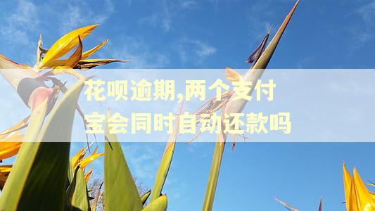 花呗逾期,两个支付宝会同时自动还款吗