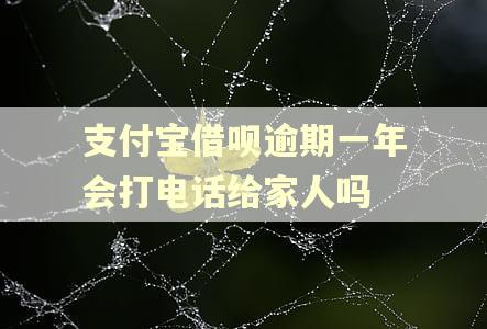 支付宝借呗逾期一年会打电话给家人吗 支付宝借呗逾期一年会打电话给家人吗