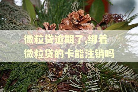 微粒贷逾期了,绑着微粒贷的卡能注销吗