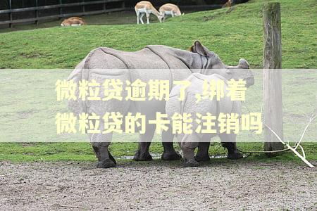 微粒贷逾期了,绑着微粒贷的卡能注销吗