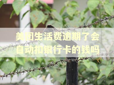 美团生活费逾期了会自动扣银行卡的钱吗