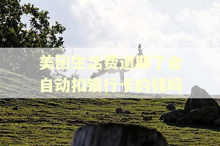 美团生活费逾期了会自动扣银行卡的钱吗