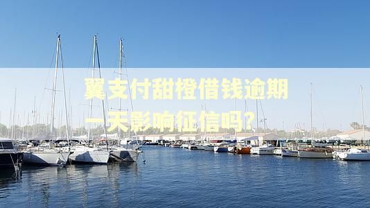 翼支付甜橙借钱逾期一天影响征信吗?