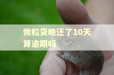 微粒贷晚还了10天算逾期吗