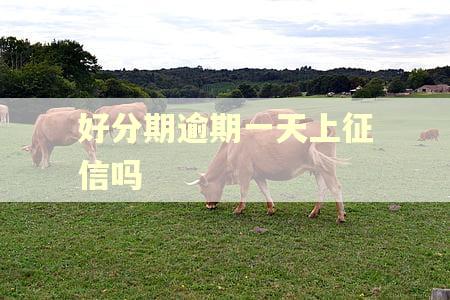 好分期逾期一天上征信吗