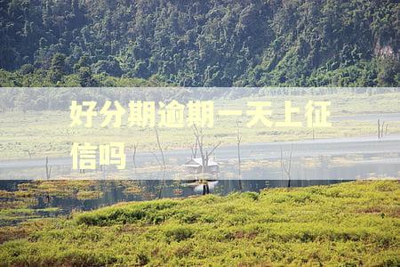 好分期逾期一天上征信吗