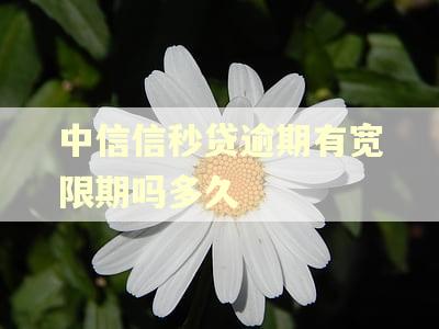 中信信秒贷逾期有宽限期吗多久 中信信秒贷逾期有宽限期吗多久