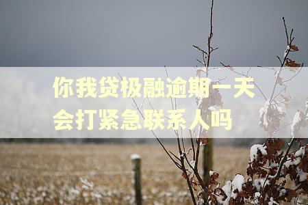 你我贷极融逾期一天会打紧急联系人吗