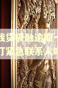 你我贷极融逾期一天会打紧急联系人吗