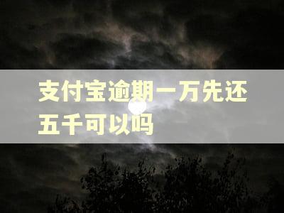 支付宝逾期一万先还五千可以吗 支付宝逾期一万先还五千可以吗