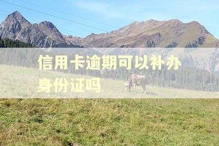 信用卡逾期可以补办身份证吗