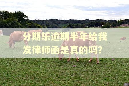 分期乐逾期半年给我发律师函是真的吗？