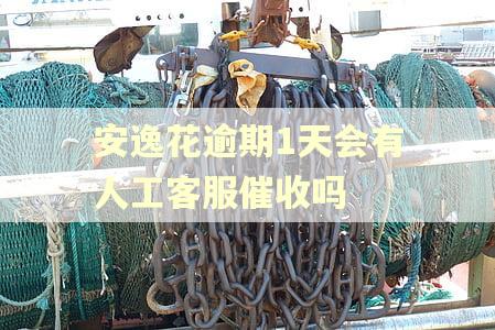 安逸花逾期1天会有人工客服催收吗